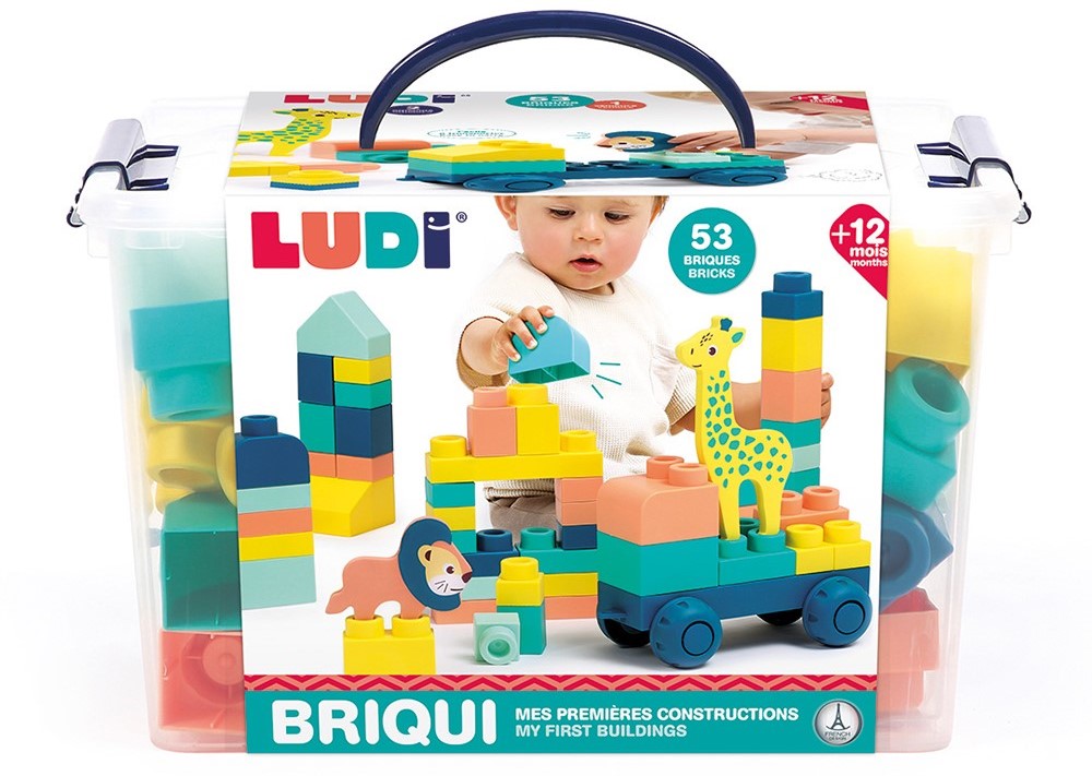 BrightKidz Educational Toys - Ludi Briqui My First Building Blocks 53 pcs