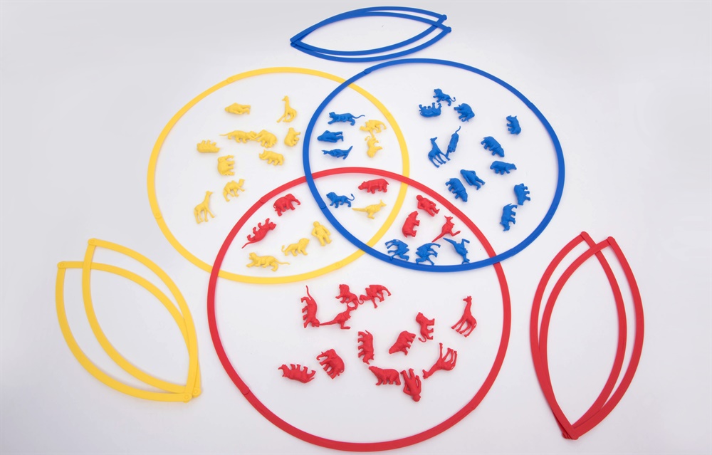 BrightKidz Educational Toys - Sorting Rings Large Set of 6